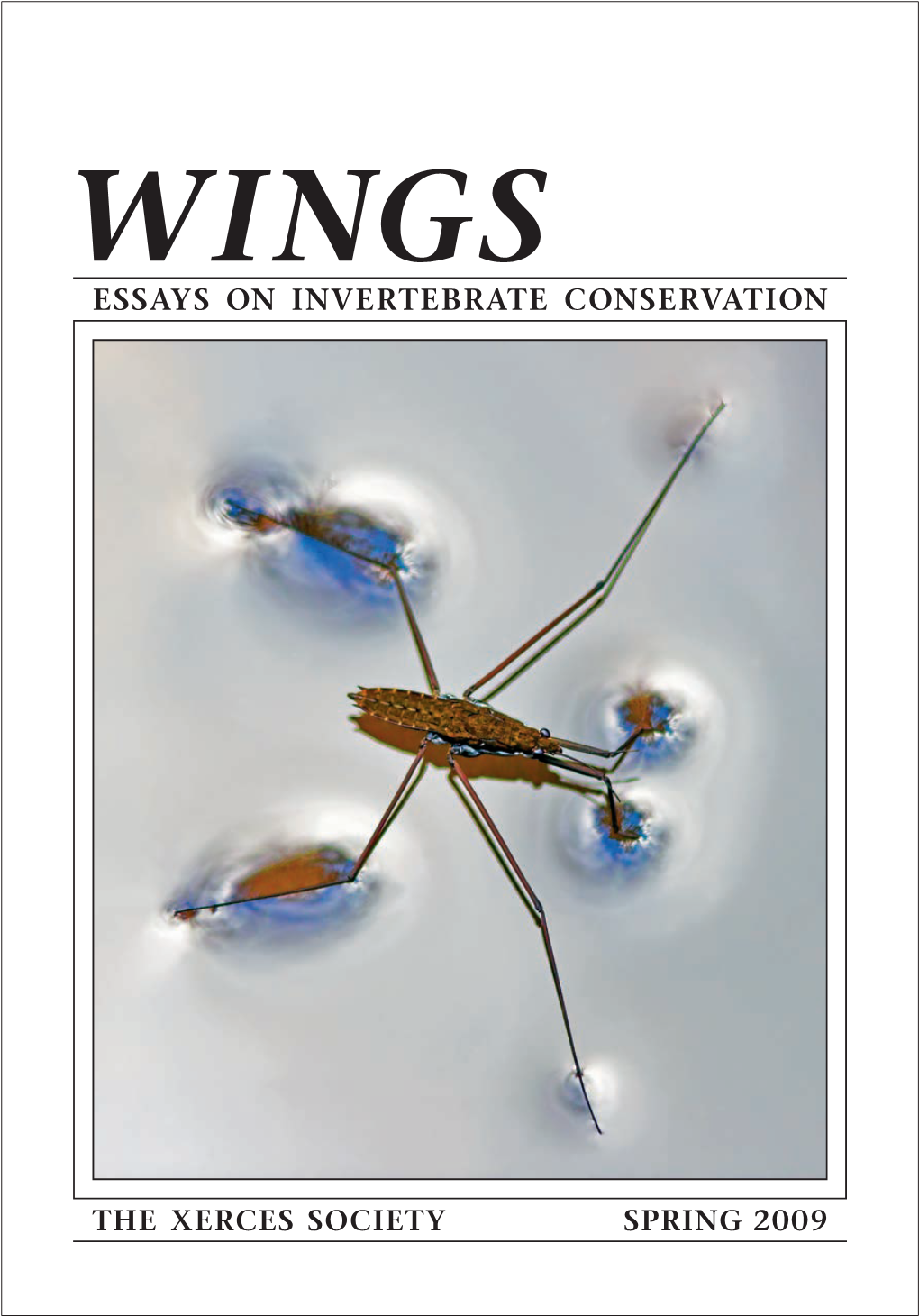 Essays on Invertebrate Conservation