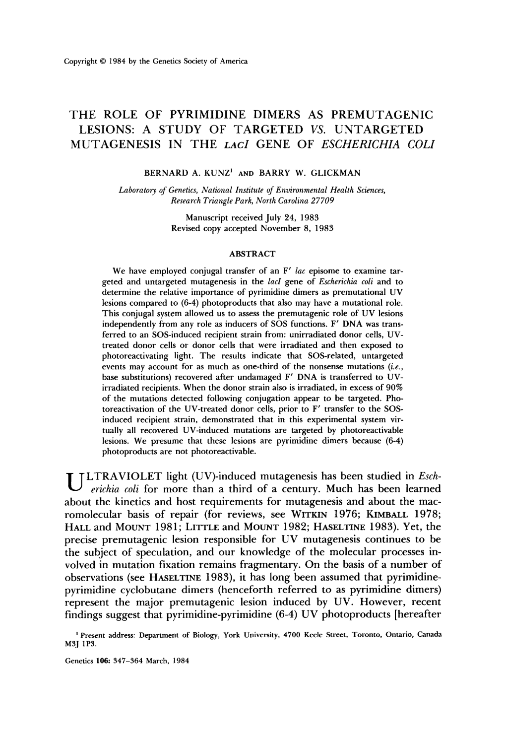 The Role of Pyrimidine Dimers As Premutagenic Lesions: a Study of Targeted Vs