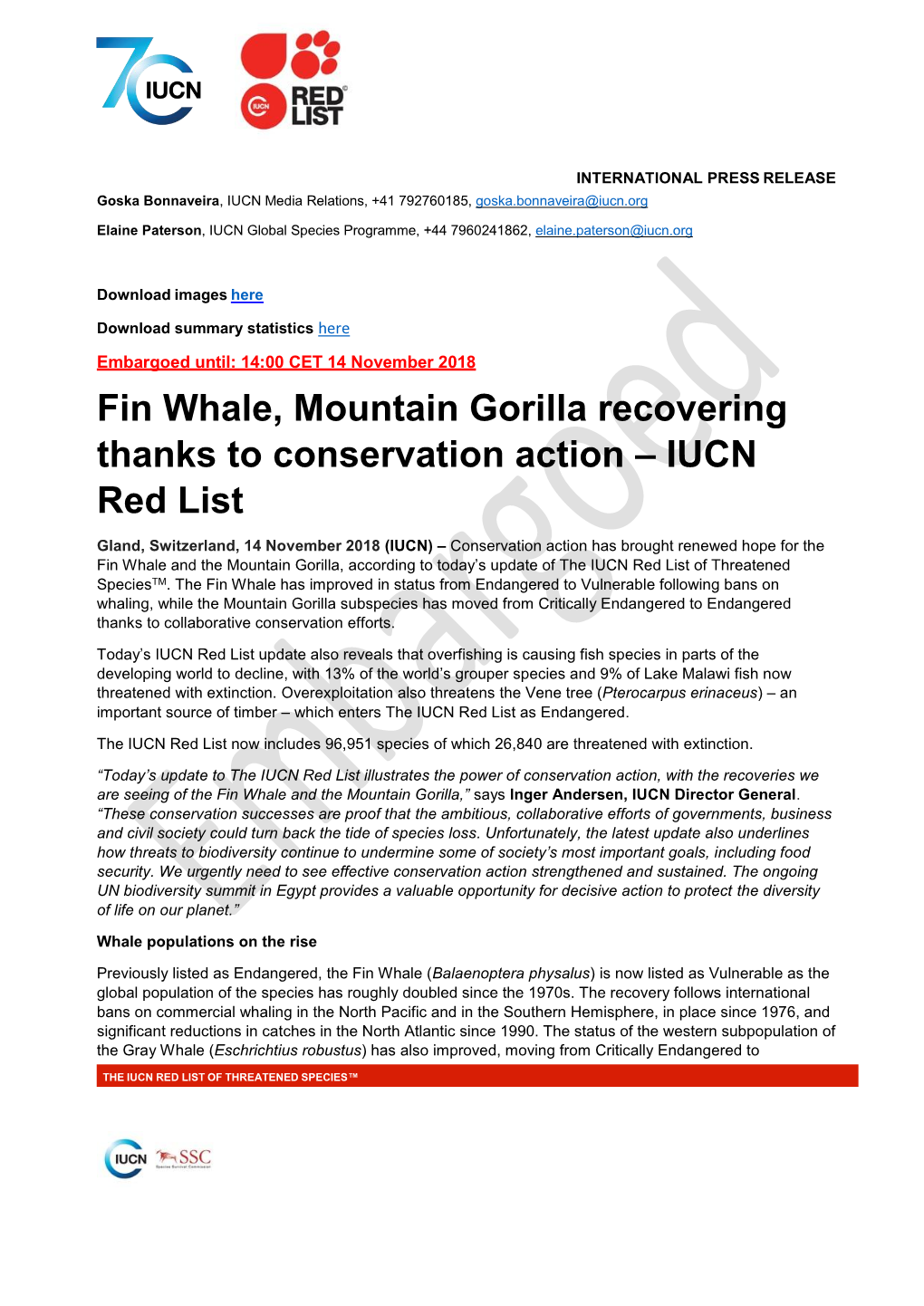 Fin Whale, Mountain Gorilla Recovering Thanks to Conservation Action – IUCN Red List