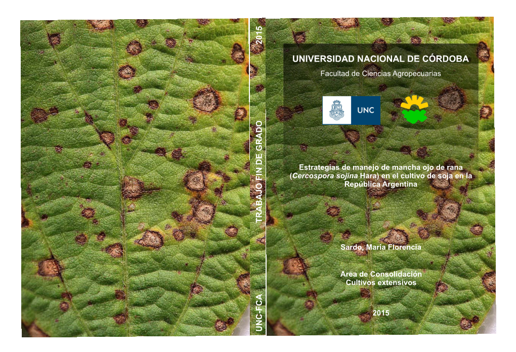 Estrategias De Manejo De Mancha Ojo De Rana (Cercospora Sojina Hara) En El Cultivo De Soja En La República Argentina