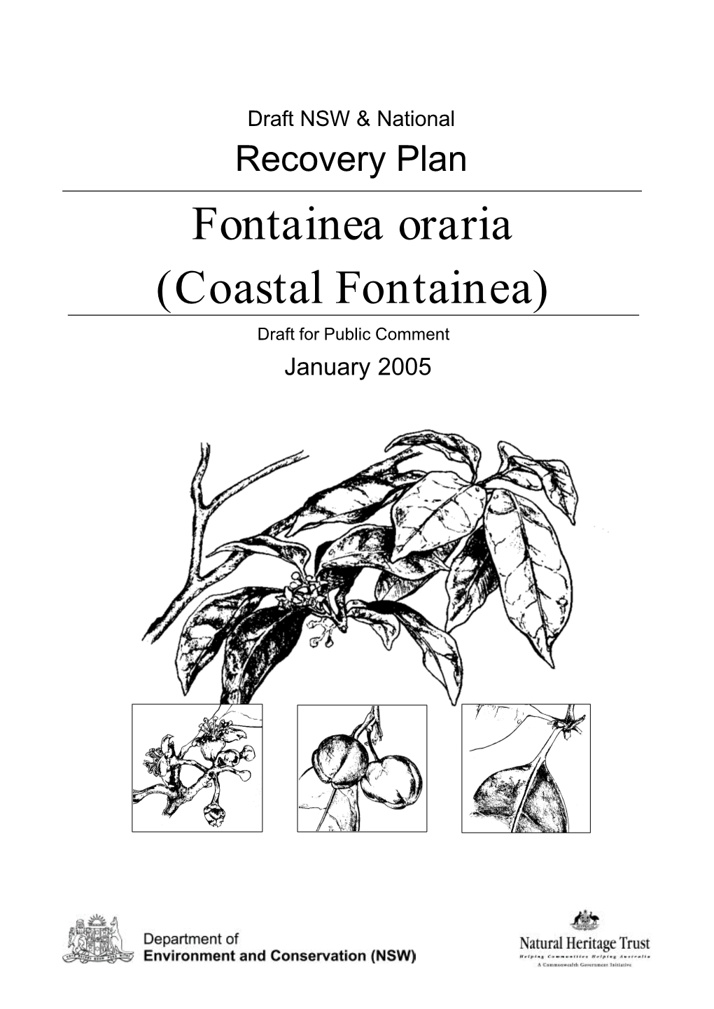 Fontainea Oraria (Coastal Fontainea) Draft for Public Comment January 2005 © NSW Department of Environment and Conservation, 2005