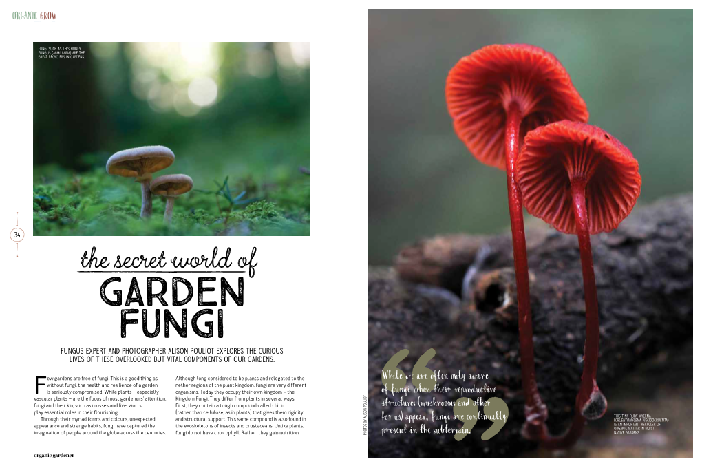 The Secret World of Garden Fungi Fungus Expert and Photographer Alison Pouliot Explores the Curious Lives of These Overlooked but Vital Components of Our Gardens