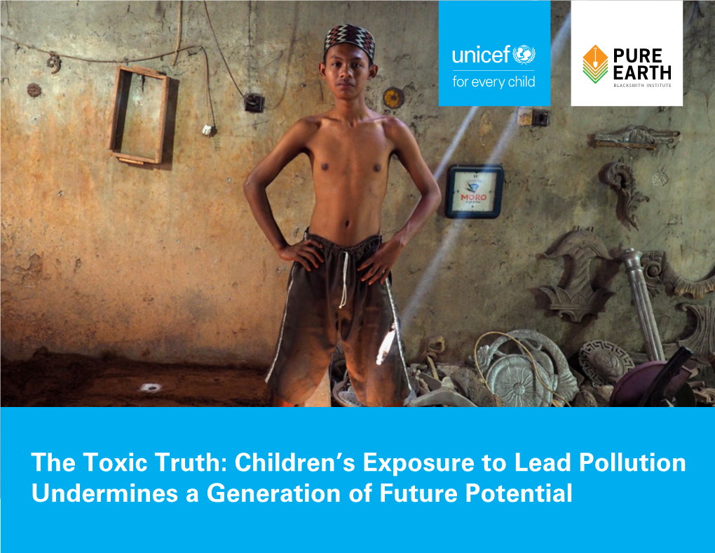 The Toxic Truth: Children's Exposure to Lead Pollution Undermines a Generation of Future Potential