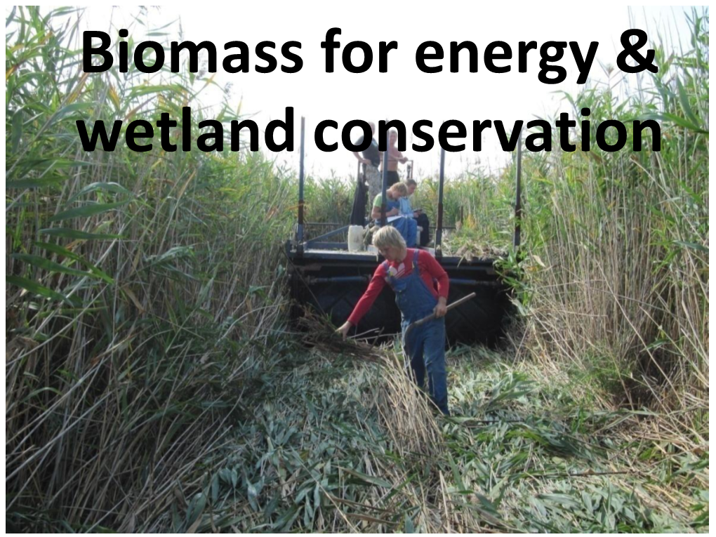 Biomass for Wetlands