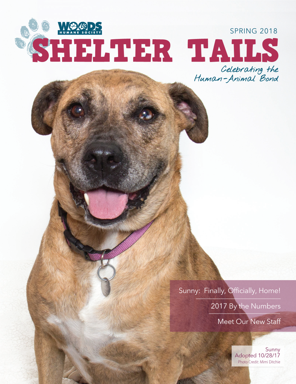 SHELTER TAILS Celebrating the Human -Animal Bond