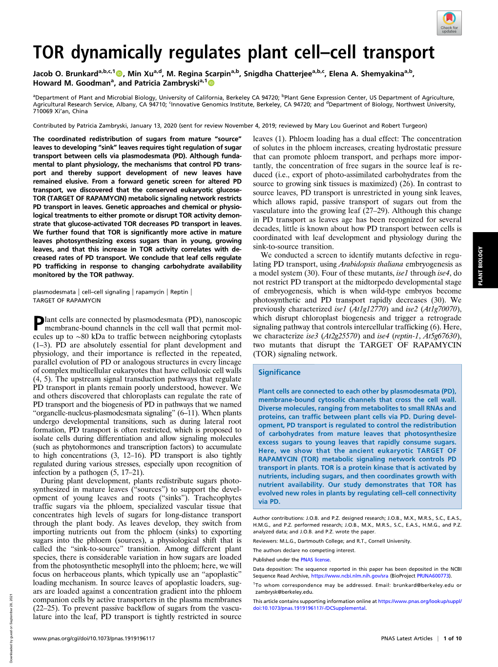 TOR Dynamically Regulates Plant Cell–Cell Transport