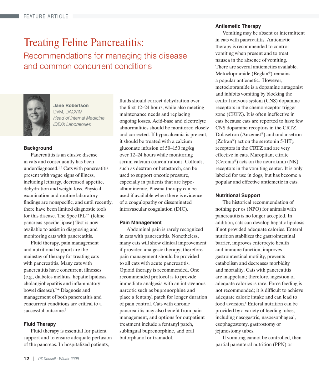 Treating Feline Pancreatitis: Recommendations for Managing