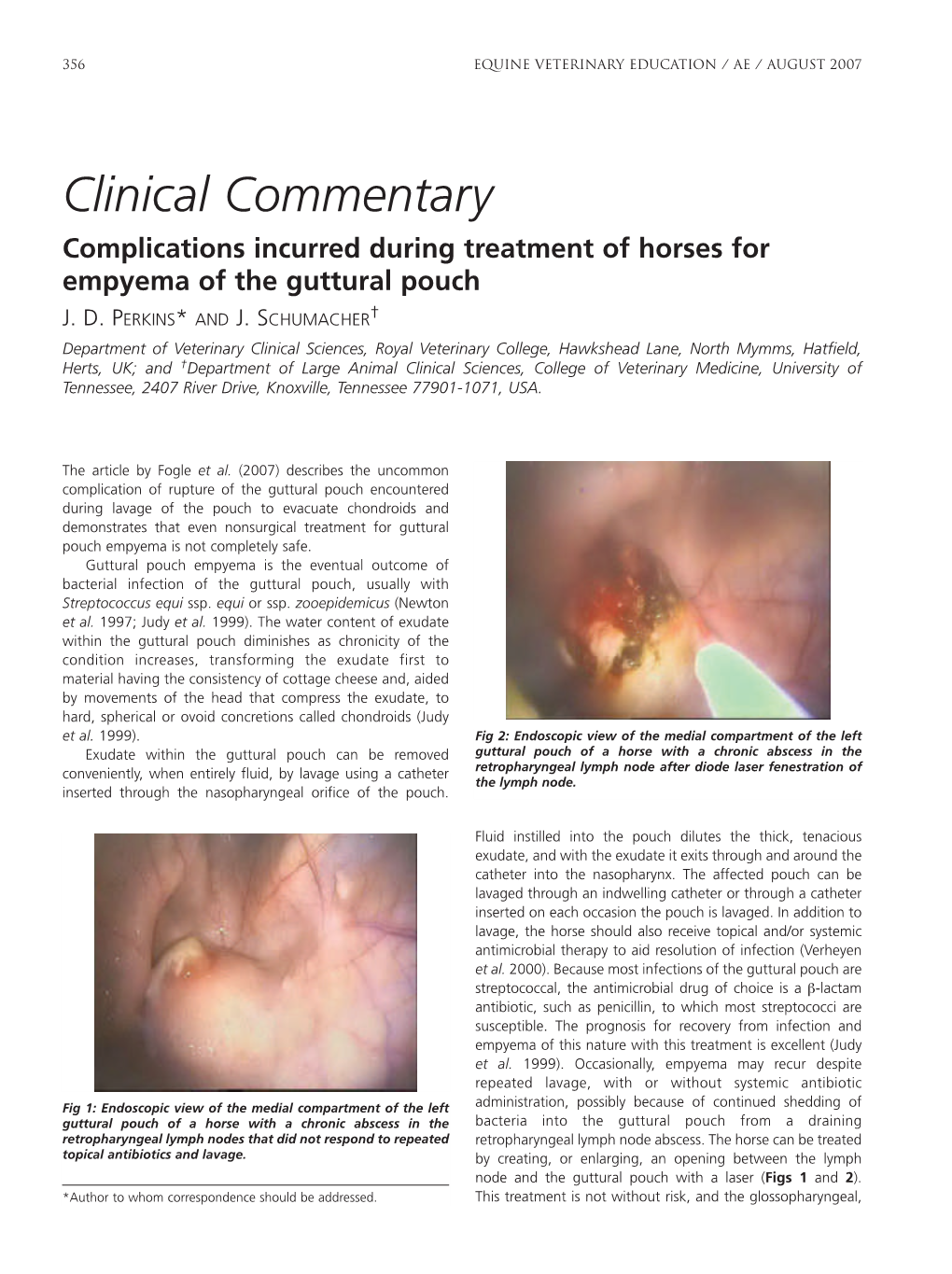 Clinical Commentary Complications Incurred During Treatment of Horses for Empyema of the Guttural Pouch J