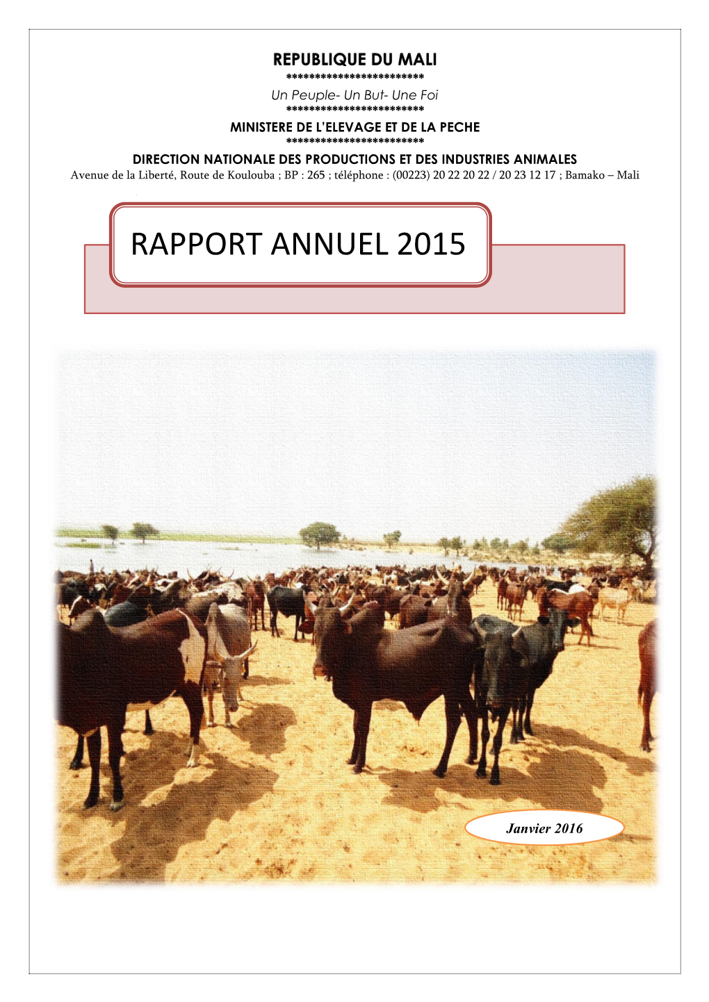 Rapport Annuel 2015