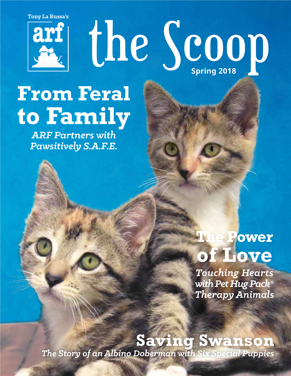 The Scoop Spring 2018 from Feral to Family ARF Partners with Pawsitively S.A.F.E