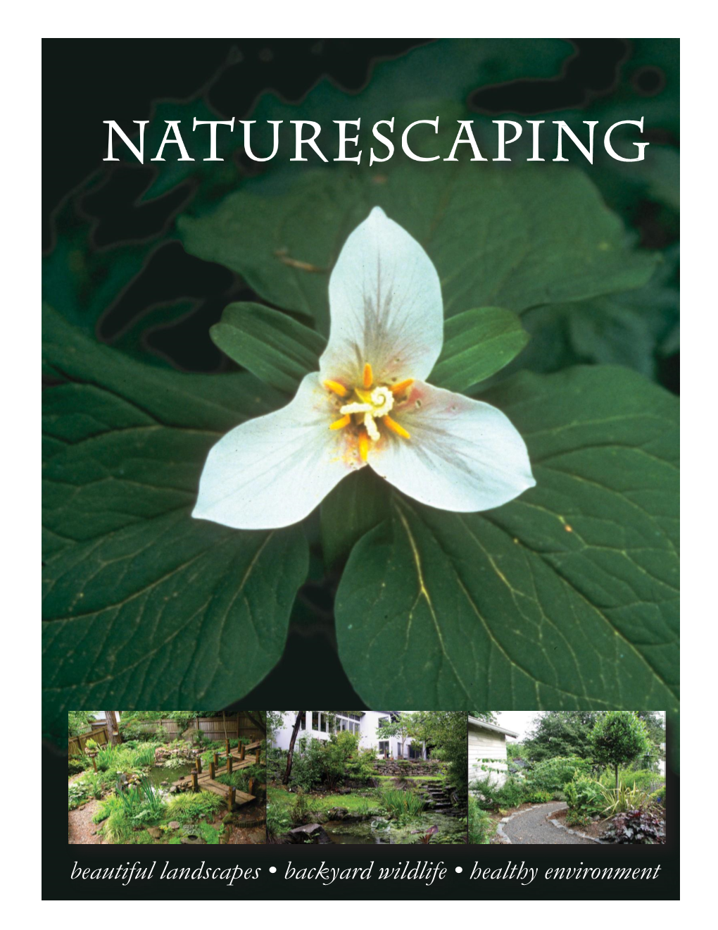 Naturescaping Workbook