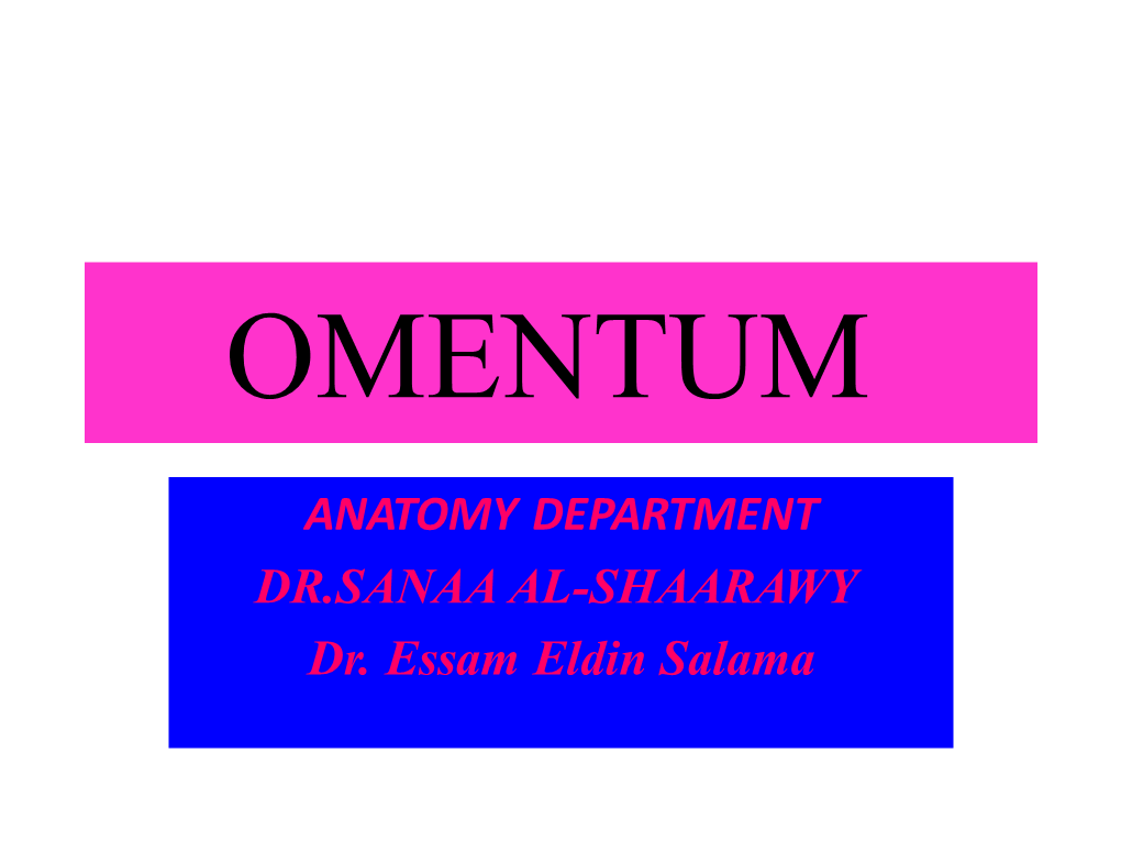 Anatomy of OMENTUM