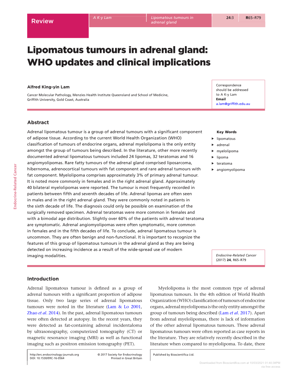 Lipomatous Tumours in Adrenal Gland: WHO Updates and Clinical Implications