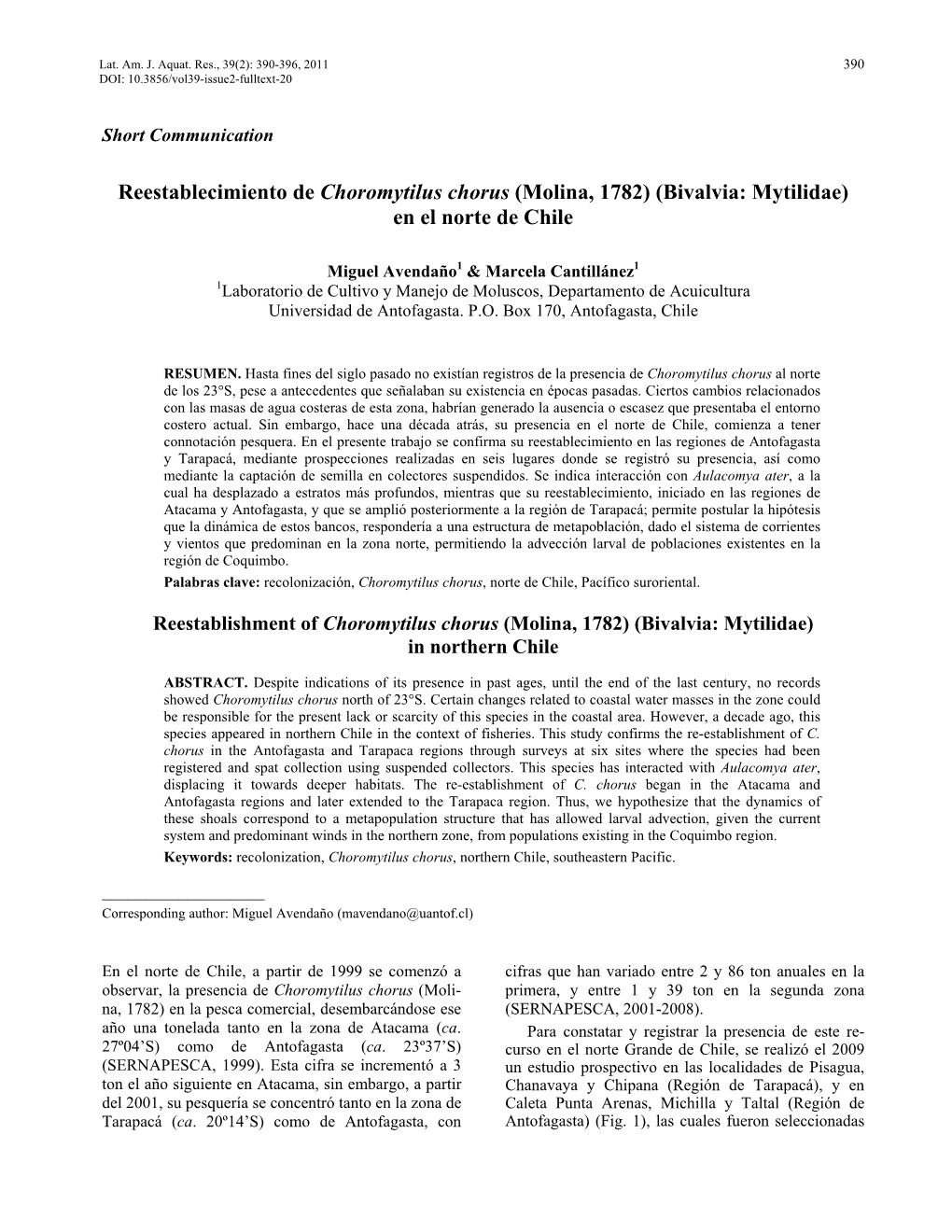 Reestablecimiento De Choromytilus Chorus (Molina, 1782) (Bivalvia: Mytilidae) En El Norte De Chile