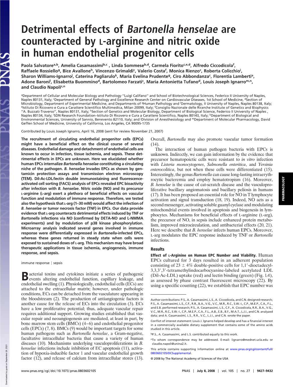 Detrimental Effects of Bartonella Henselae Are Counteracted by L-Arginine and Nitric Oxide in Human Endothelial Progenitor Cells