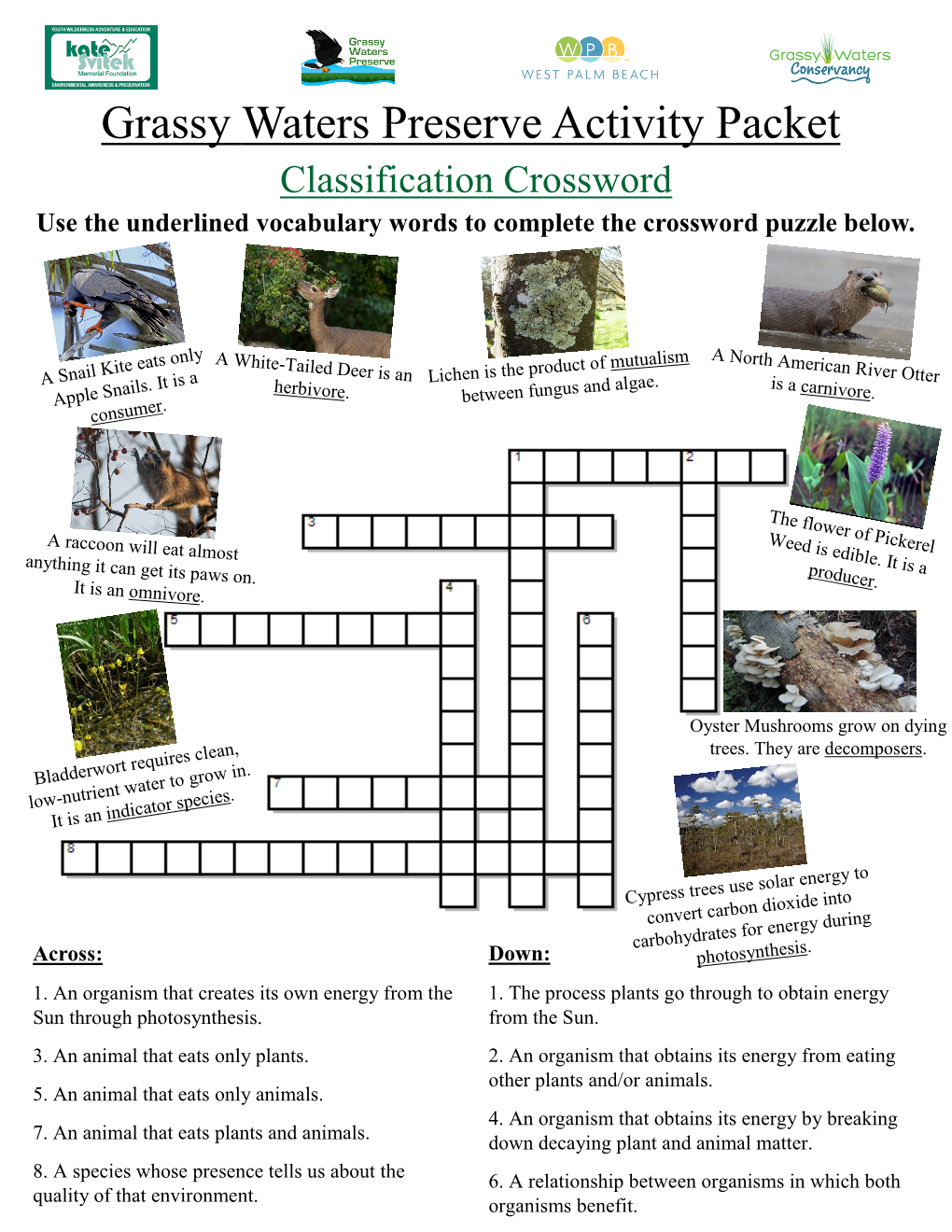 Grassy Waters Preserve Activity Packet Classification Crossword Use the Underlined Vocabulary Words to Complete the Crossword Puzzle Below