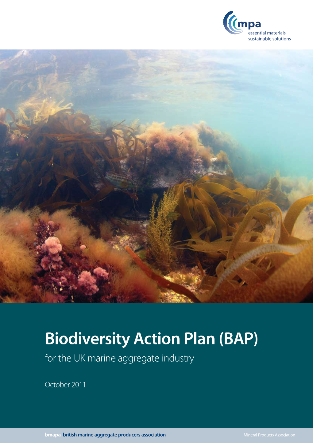 Biodiversity Action Plan (BAP) for the UK Marine Aggregate Industry