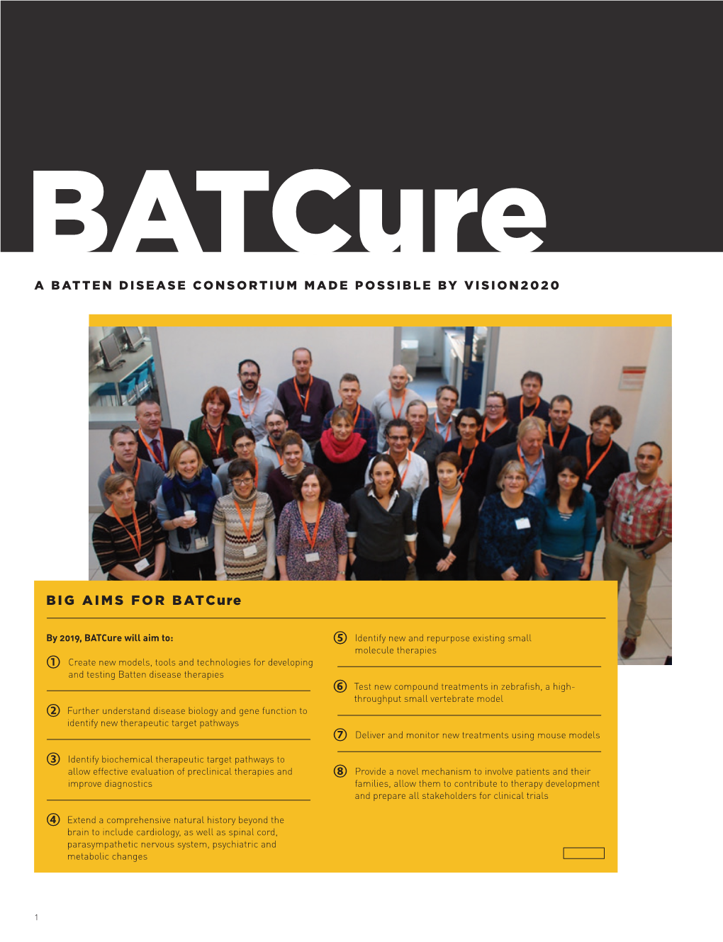 BIG AIMS for Batcure