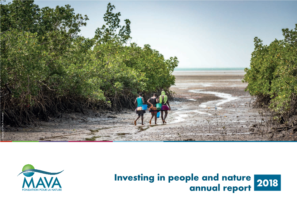 MAVA Annual Report 2018