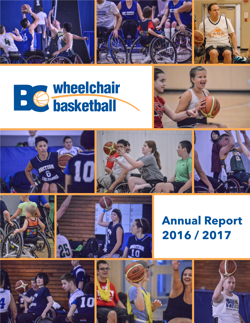 Annual Report 2016 / 2017