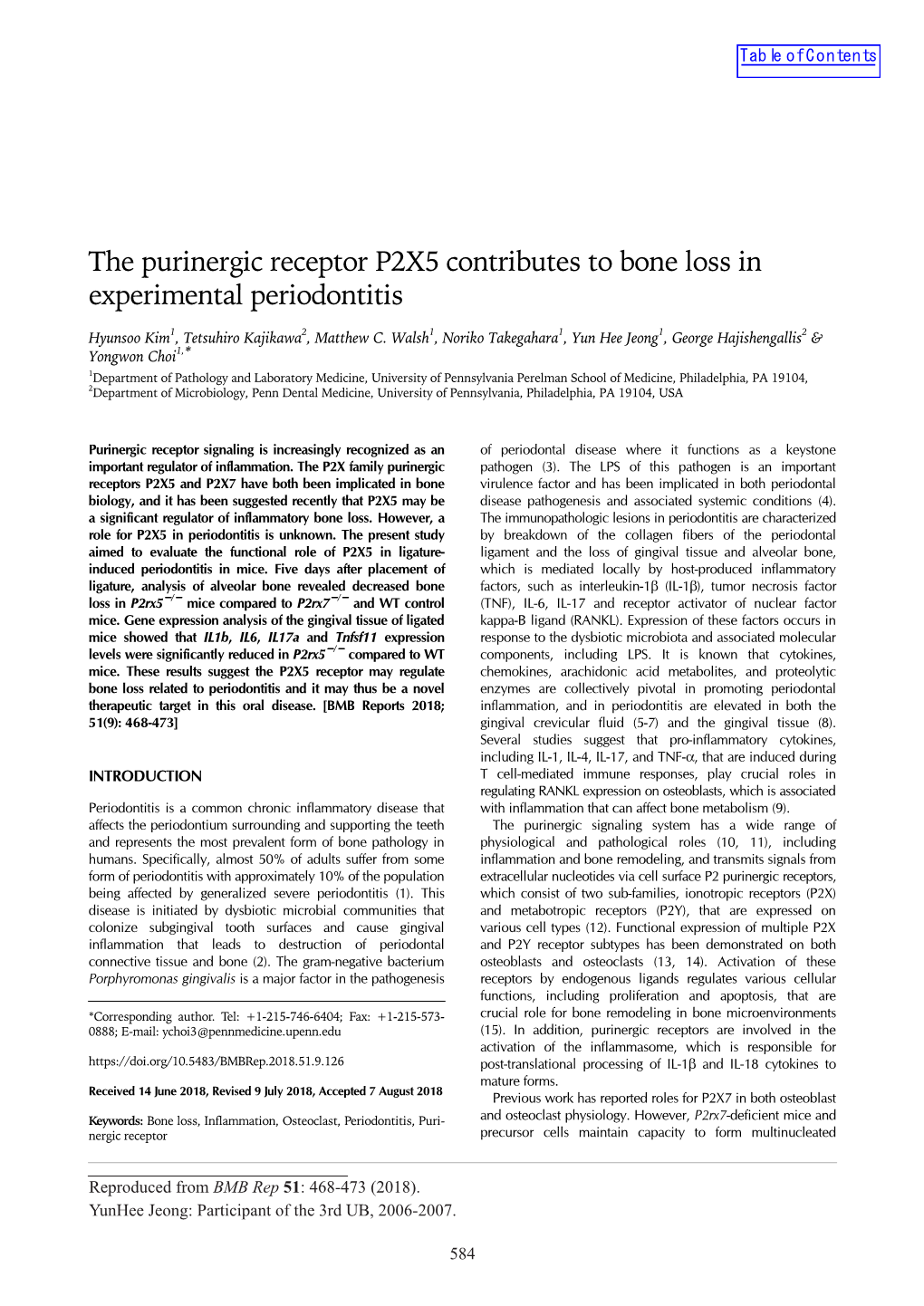 The Purinergic Receptor P2X5 Contributes to Bone Loss in Experimental Periodontitis