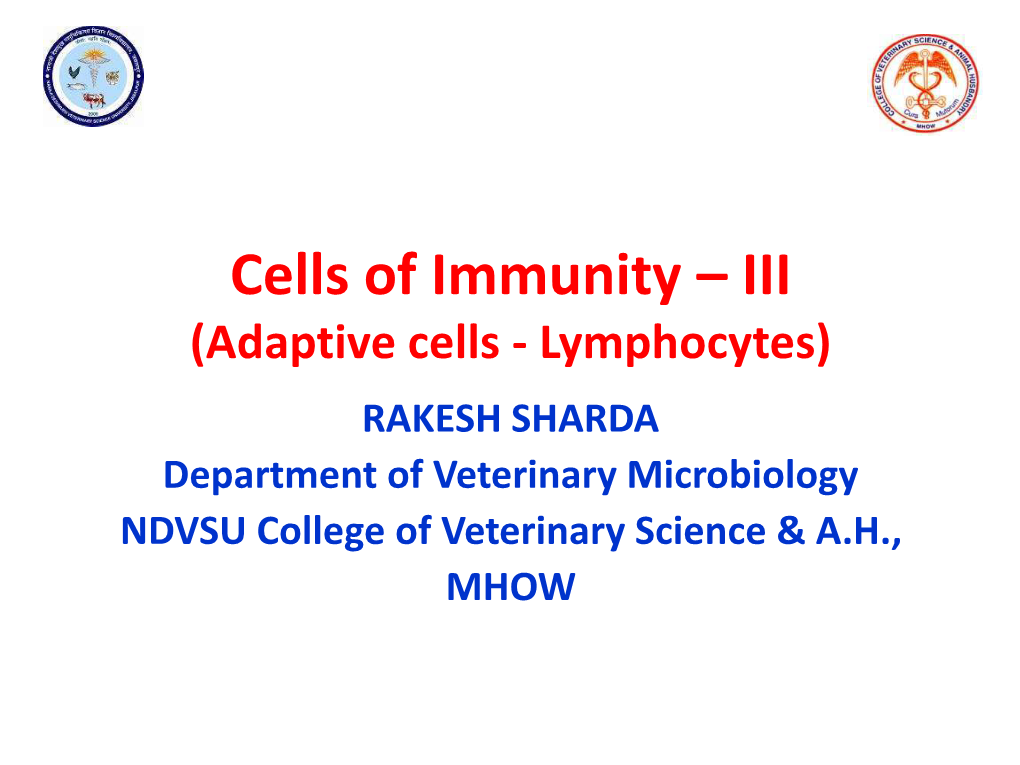 Cells of Immunity –