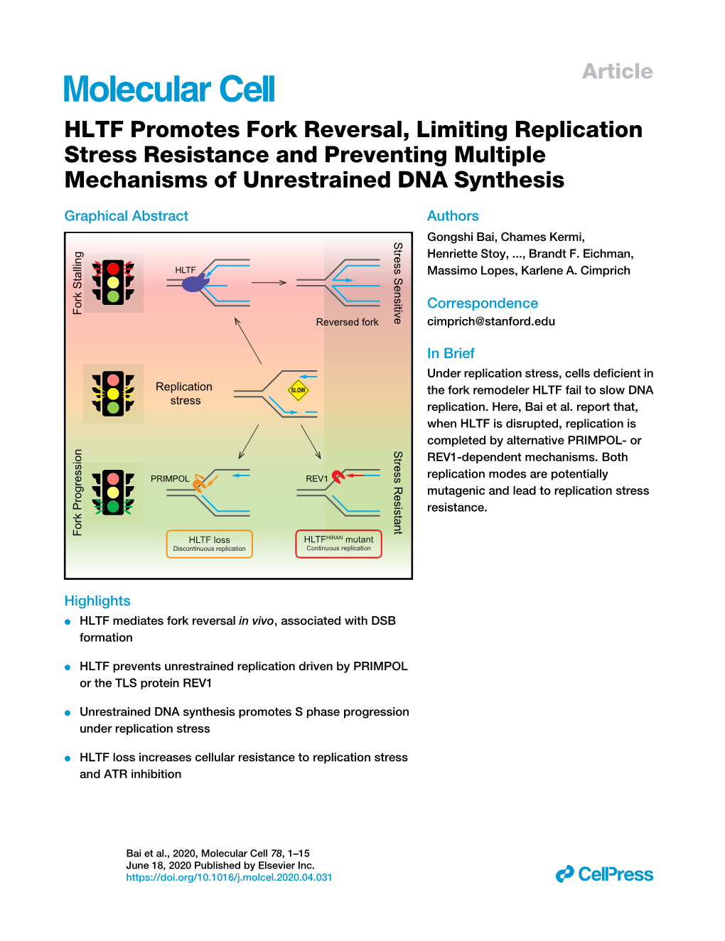 HLTF Promotes Fork Reversal, Limiting Replication Stress Resistance and Preventing Multiple Mechanisms of Unrestrained DNA Synthesis