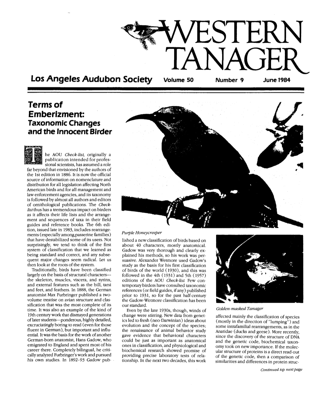Terms of Emberizment: Taxonomic Changes and the Innocent Birder