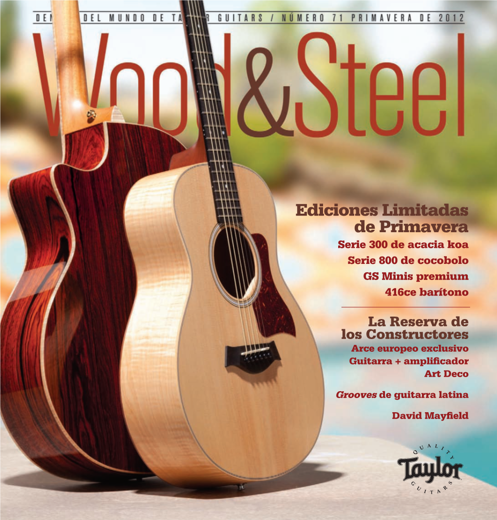 Dentro Del Mundo De Taylor Guitars