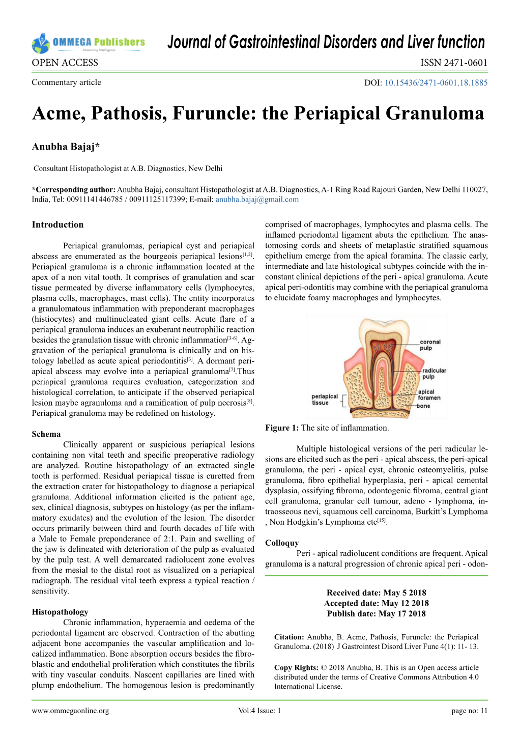 Acme, Pathosis, Furuncle: the Periapical Granuloma