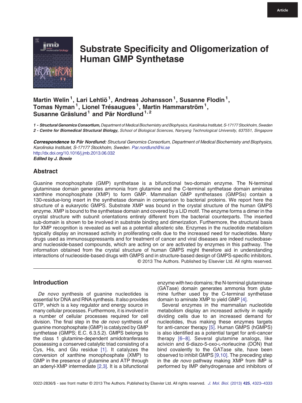 Substrate Specificity and Oligomerization of Human GMP Synthetase