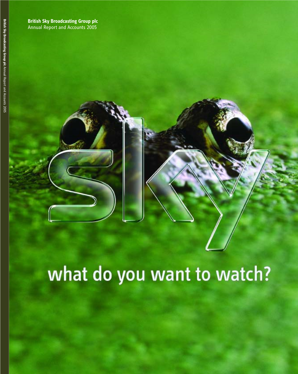 Sky Annual Report 2005