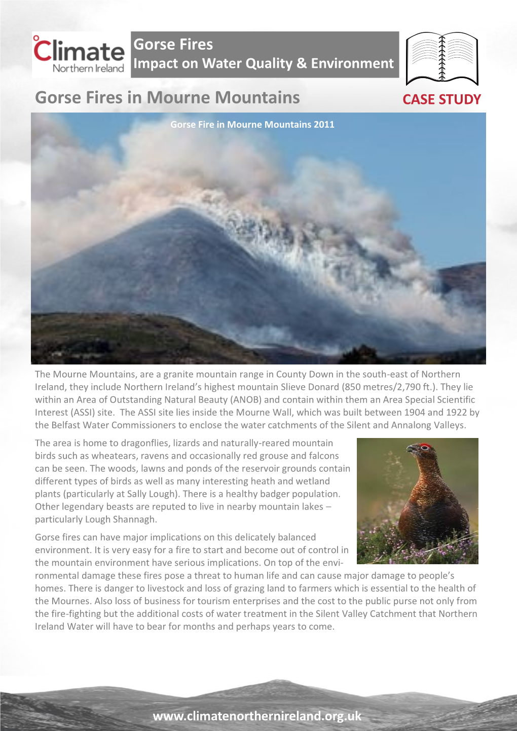 NI Water – Mourne Mountains Gorse Fires