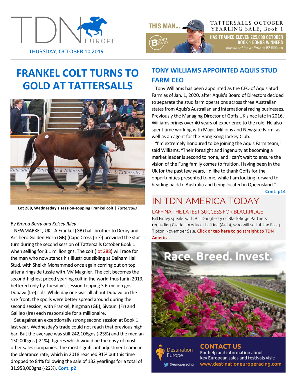 Frankel Colt Turns to Gold at Tattersalls