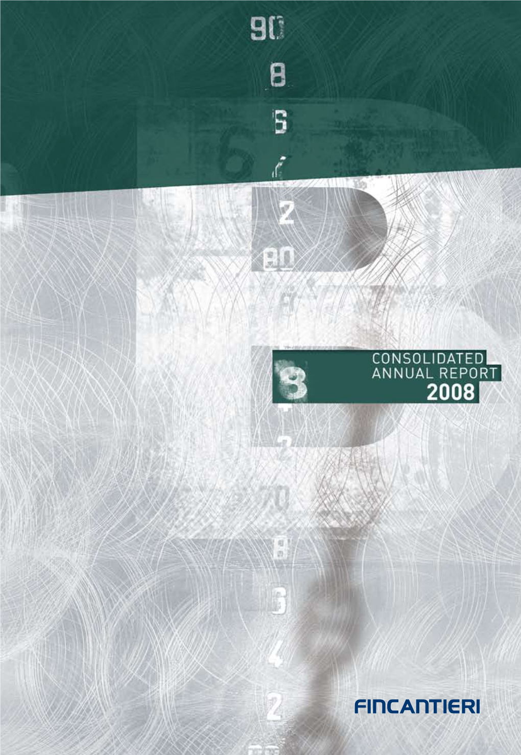 Consolidated Annual Report 2008