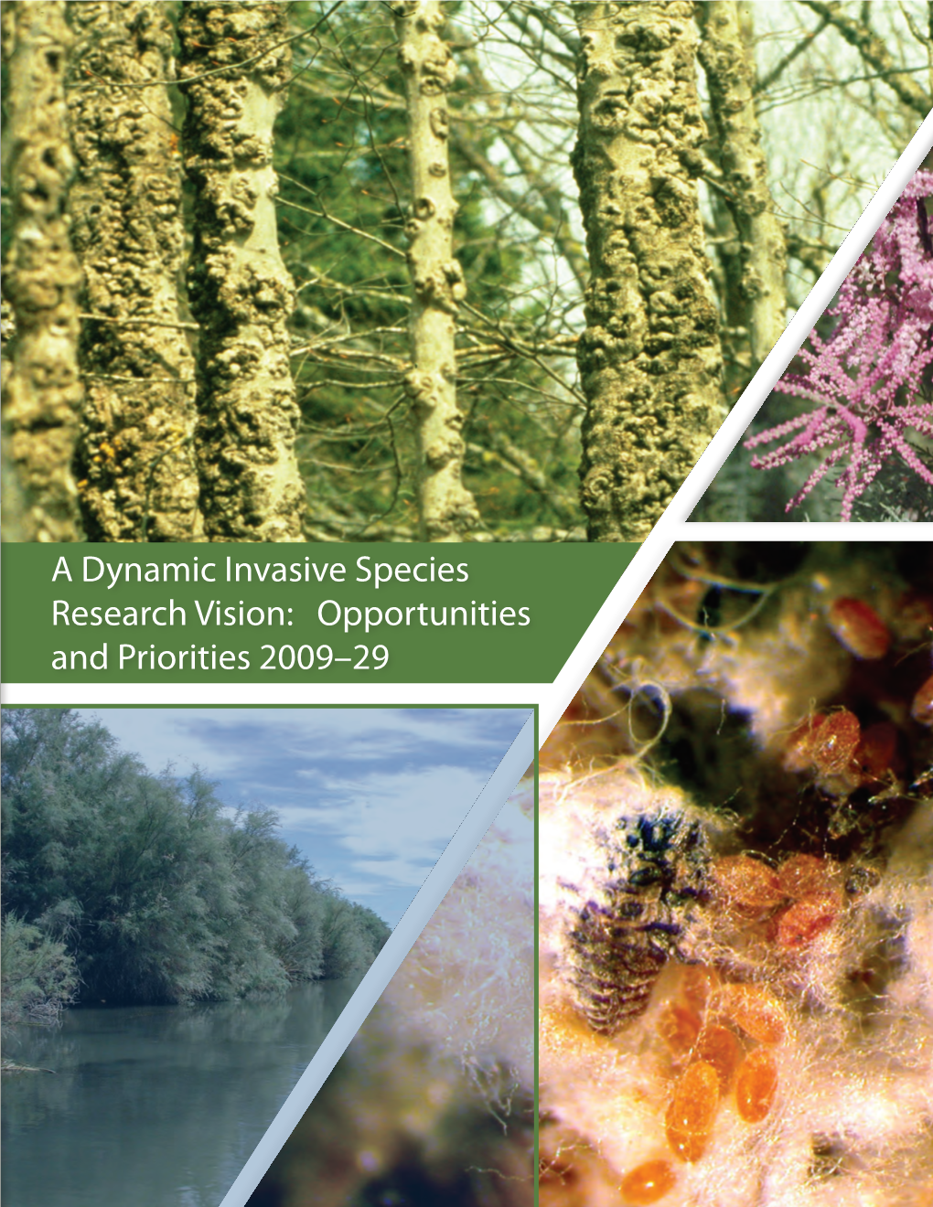 A Dynamic Invasive Species Research Vision