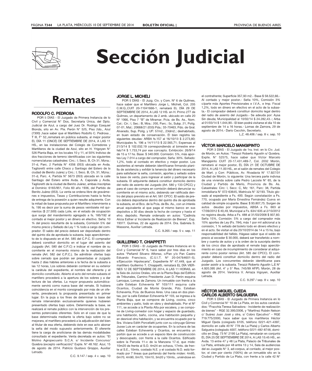 Sección Judicial Remates