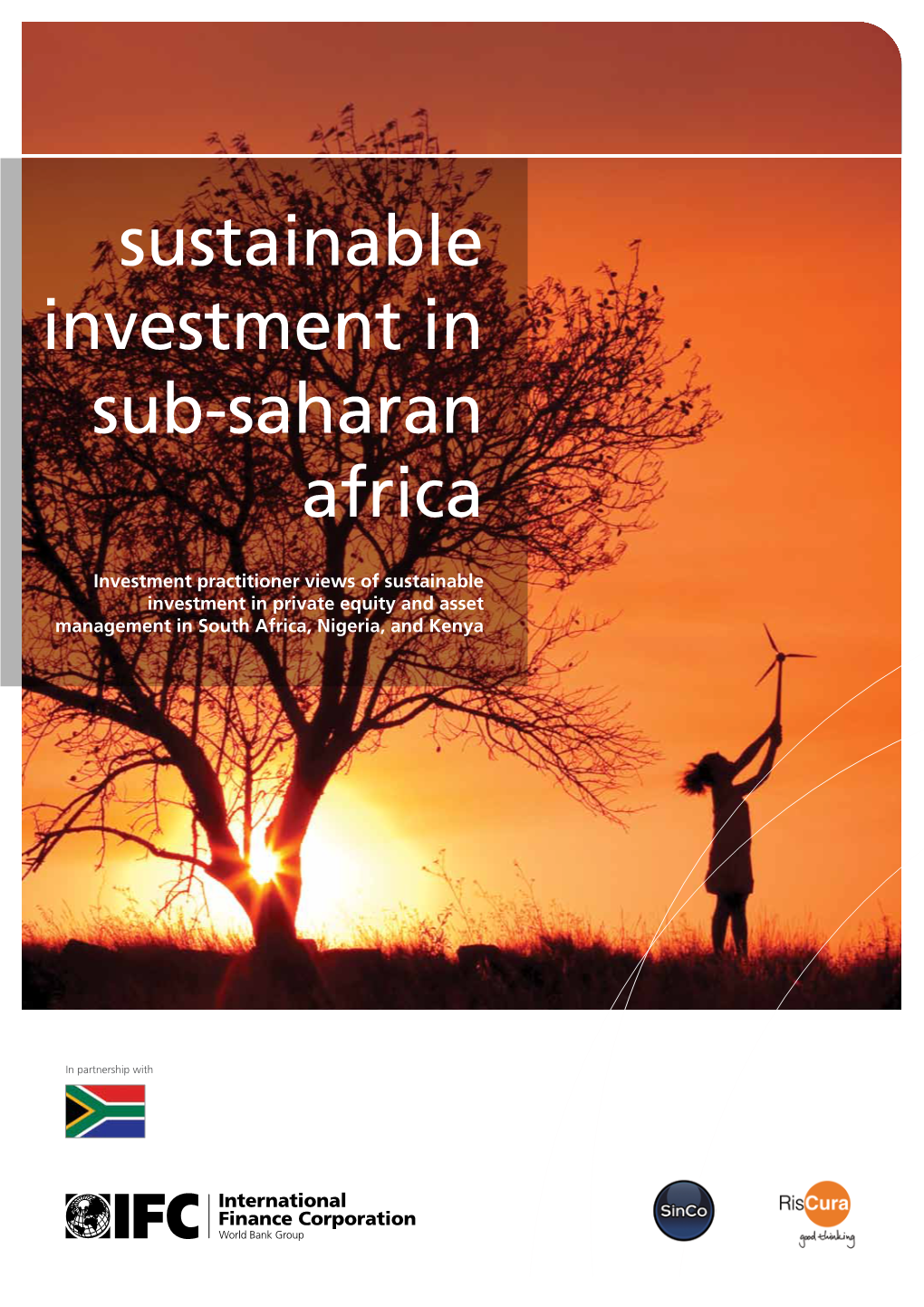 Sustainable Investment in Sub-Saharan Africa
