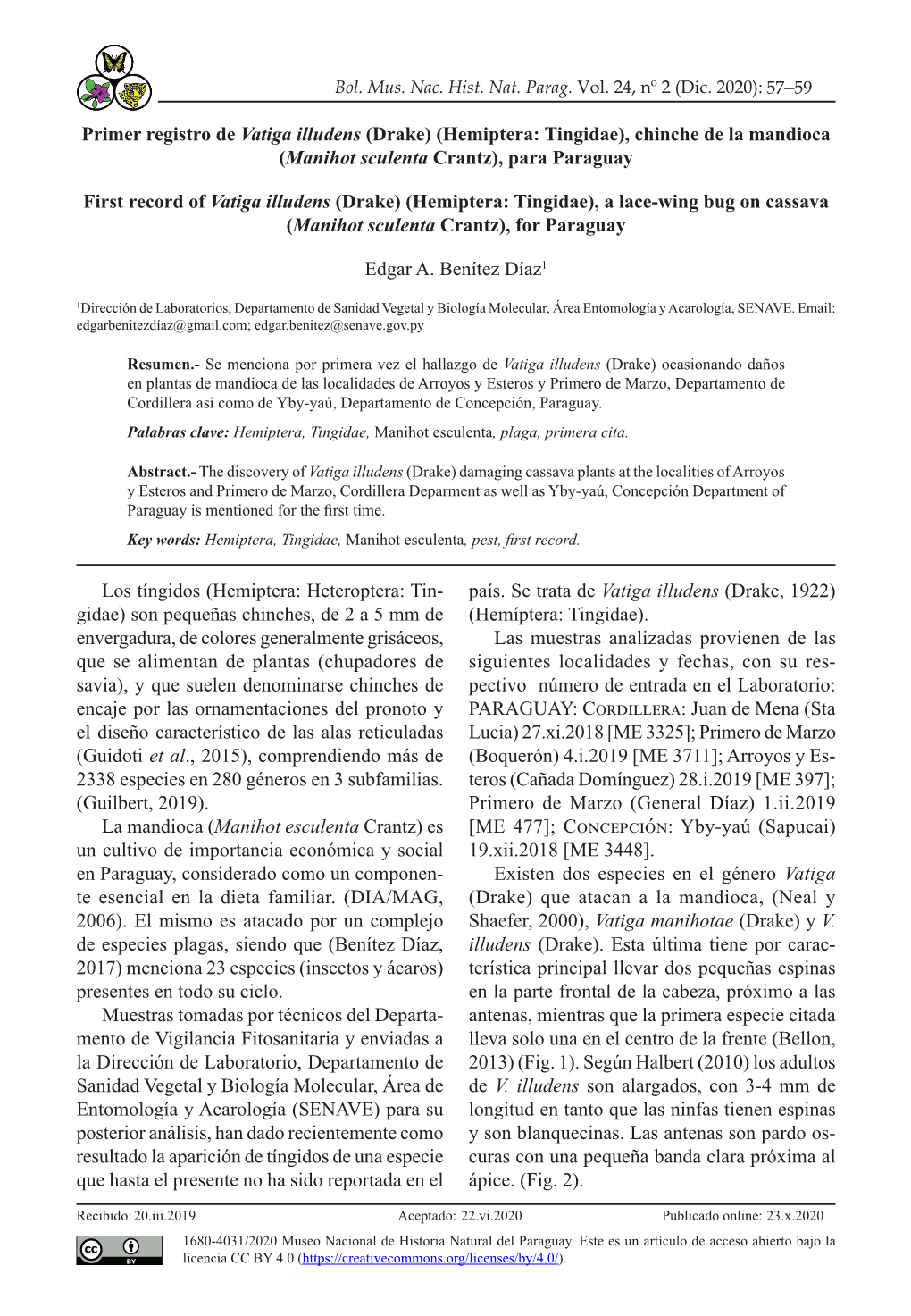 Primer Registro De Vatiga Illudens (Drake) (Hemiptera: Tingidae), Chinche De La Mandioca (Manihot Sculenta Crantz), Para Paraguay