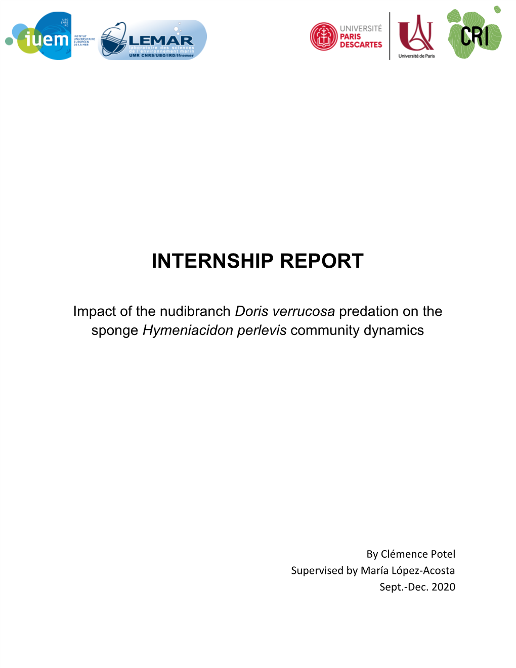 Internship Report