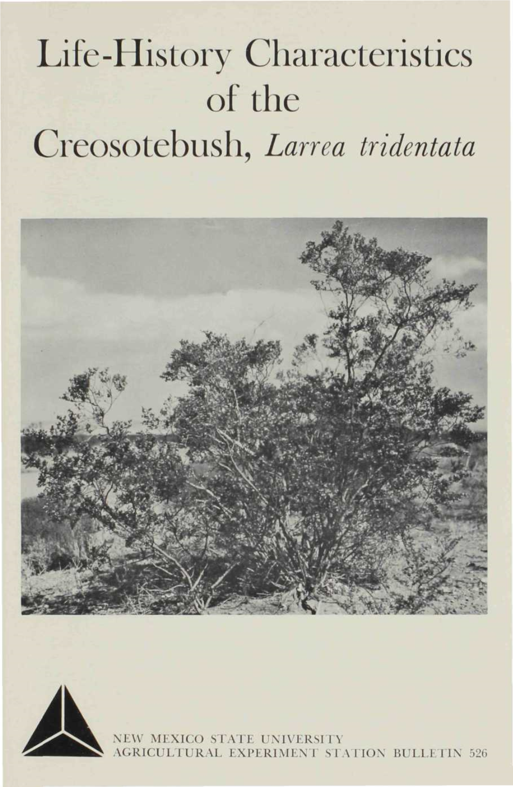 Larrea Tridentata