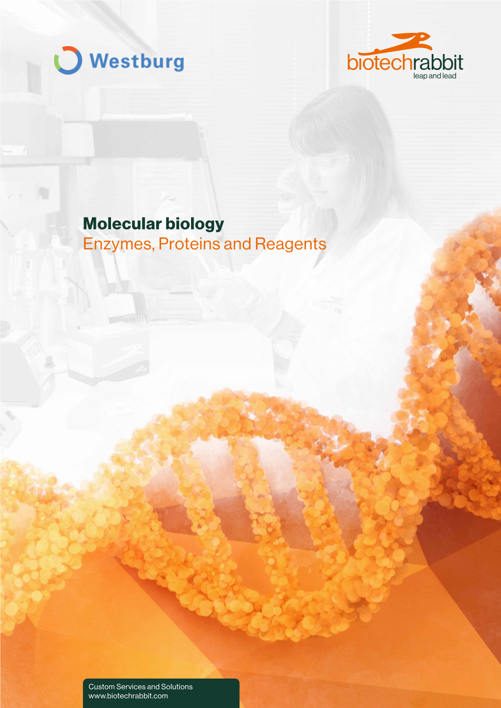 Molecular Biology Enzymes, Proteins and Reagents