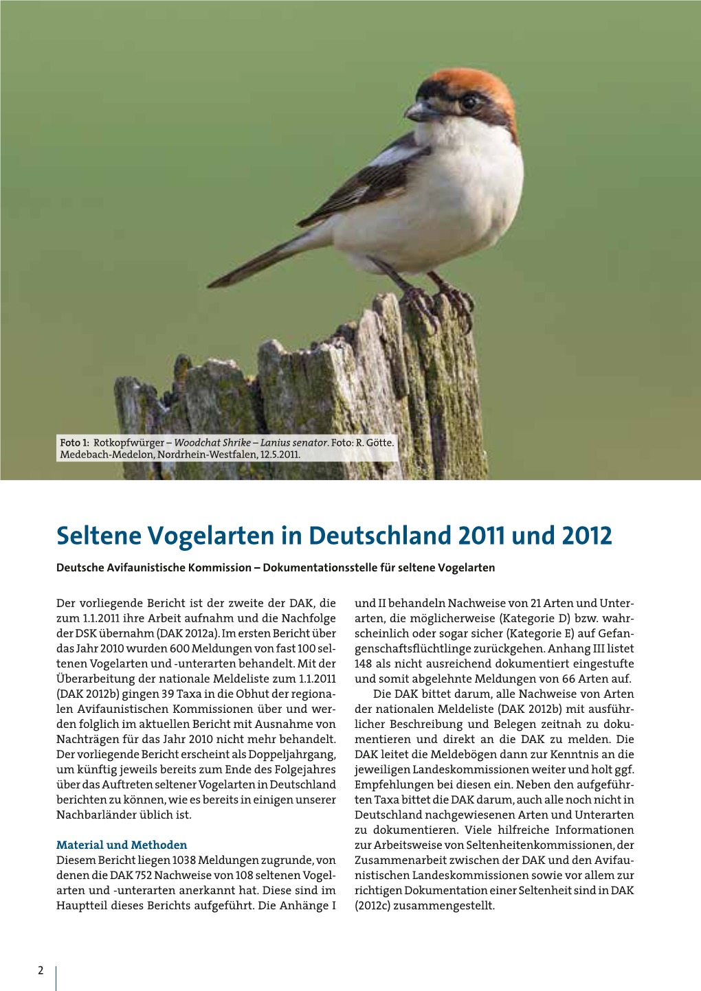 Seltene Vogelarten in Deutschland 2011 Und 2012