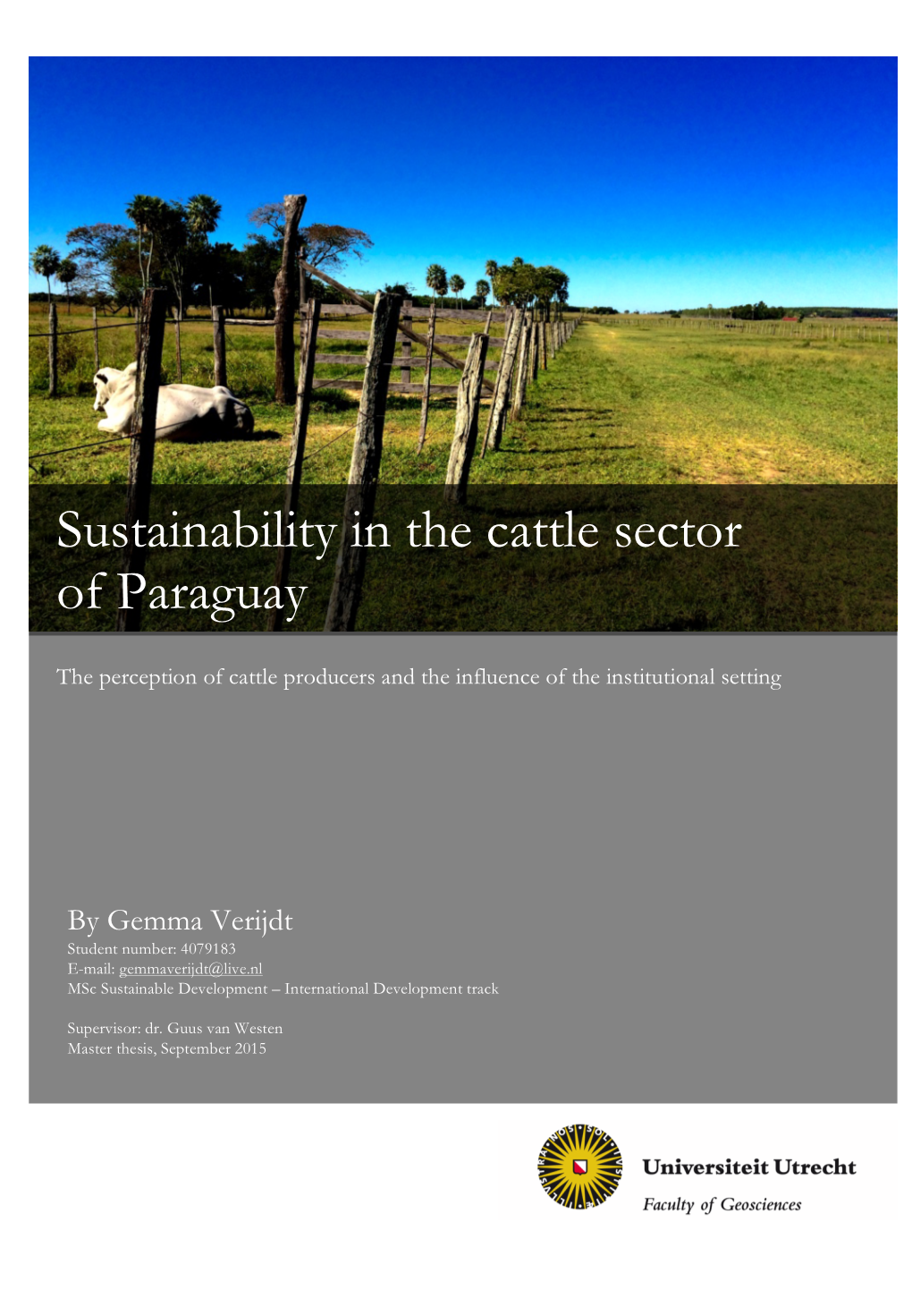 Sustainability in the Cattle Sector of Paraguay