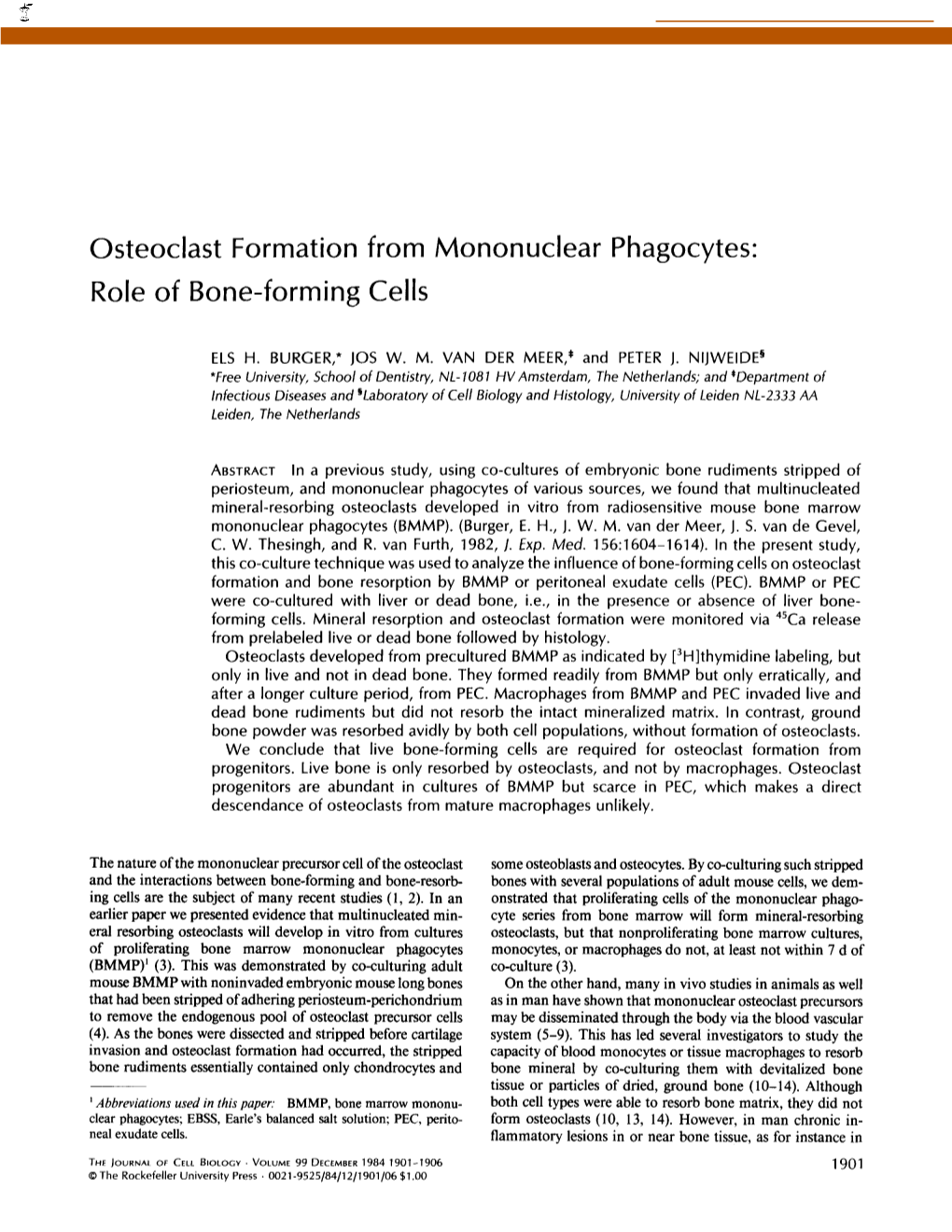 Osteoclast Formation from Role of Bone-Forming Cells