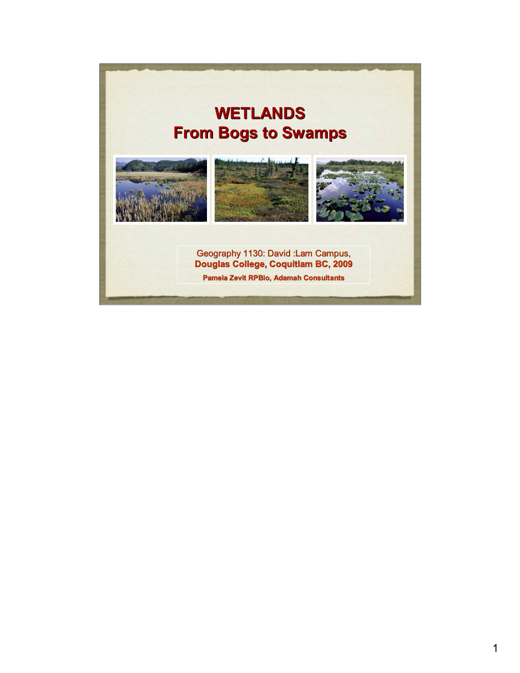 WETLANDS from Bogs to Swamps