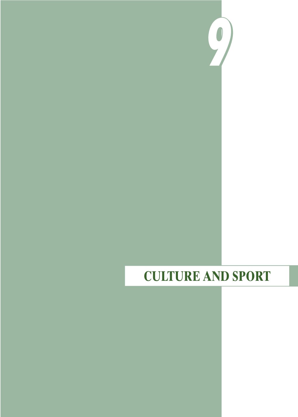 Culture and Sport