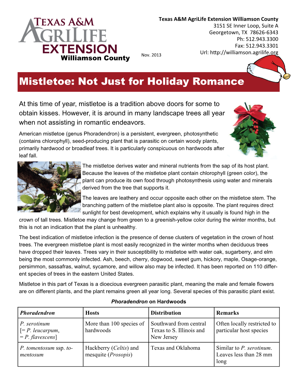 Mistletoe: Not Just for Holiday Romance