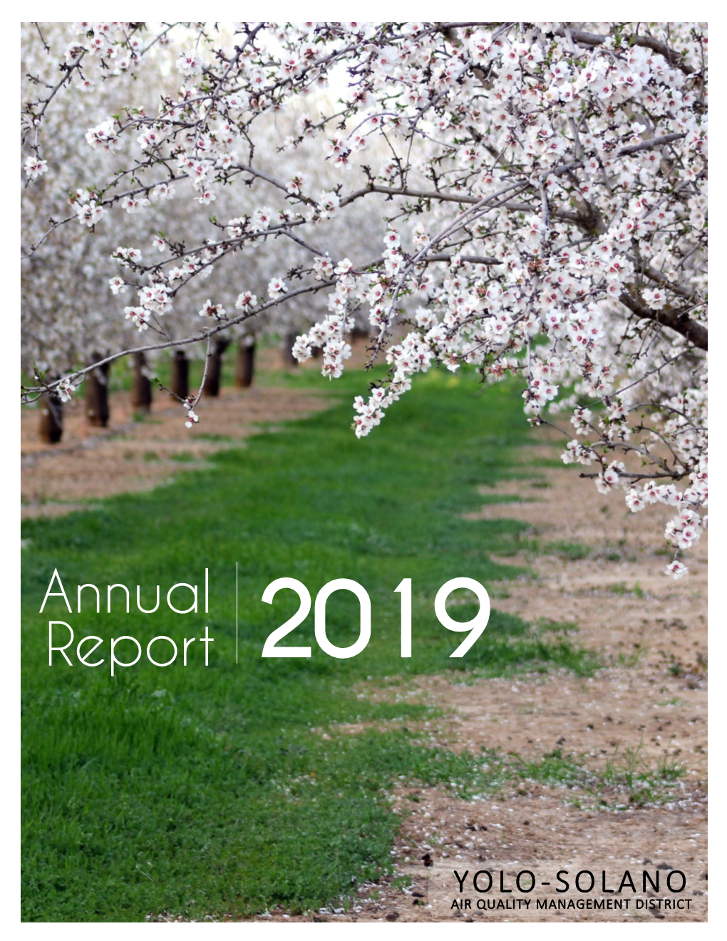 2019 Annual Report