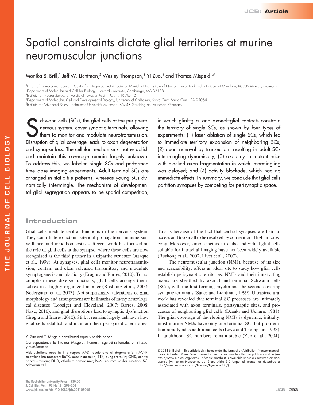 Spatial Constraints Dictate Glial Territories at Murine Neuromuscular Junctions